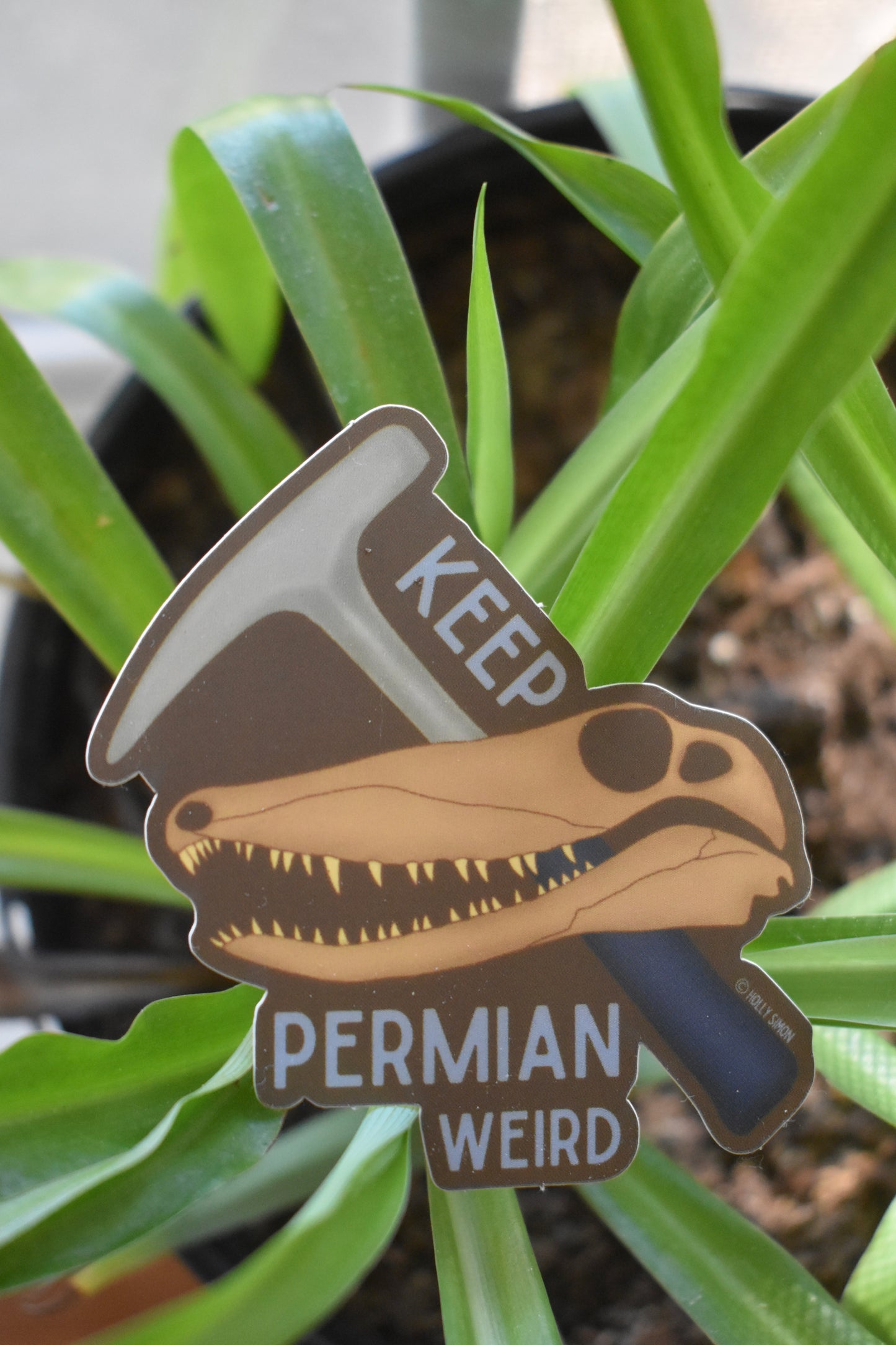 Keep Permian Weird Seco Sticker